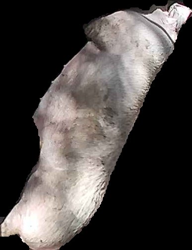 Crop