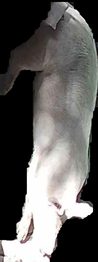 Crop