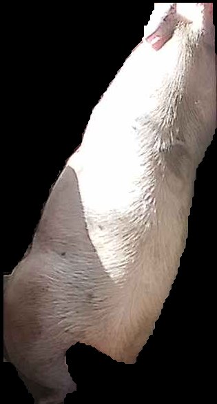 Crop
