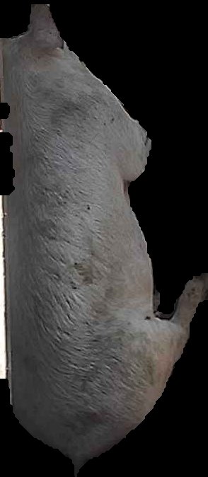 Crop