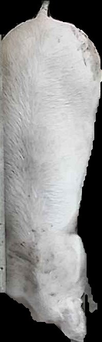 Crop