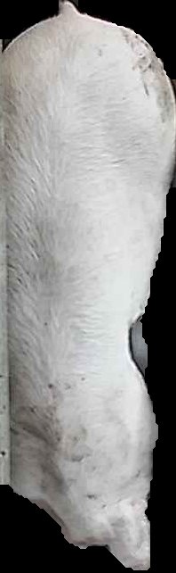 Crop
