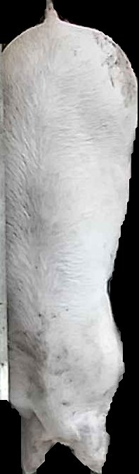 Crop