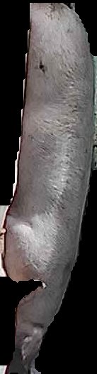 Crop