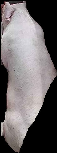 Crop
