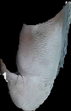 Crop