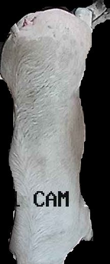 Crop