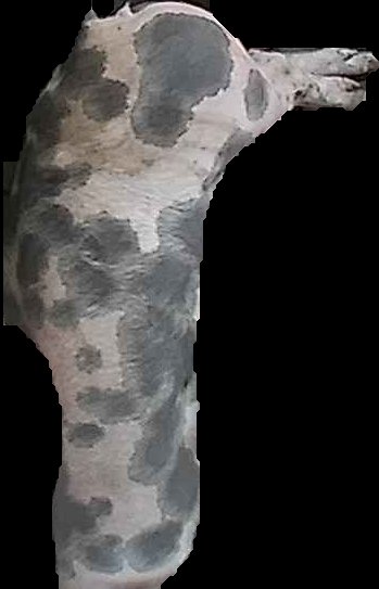 Crop