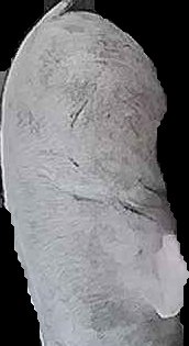 Crop