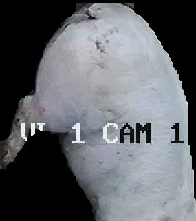 Crop