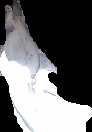 Crop