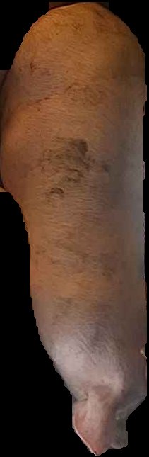 Crop