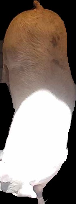 Crop