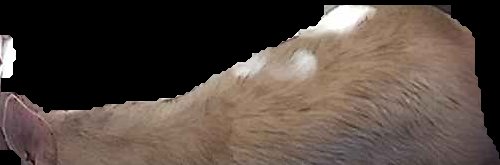 Crop