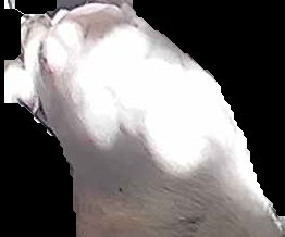 Crop