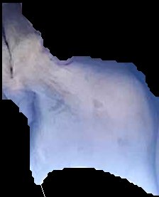 Crop
