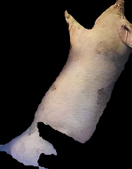 Crop
