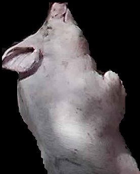Crop