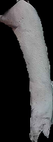 Crop
