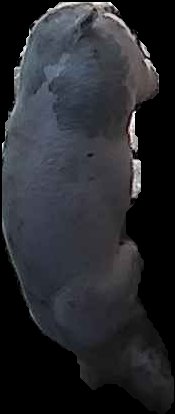 Crop