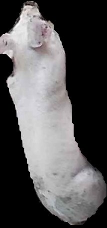 Crop