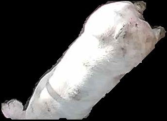 Crop