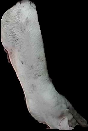 Crop
