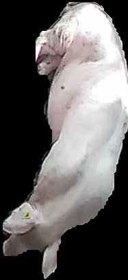 Crop