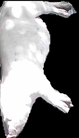 Crop