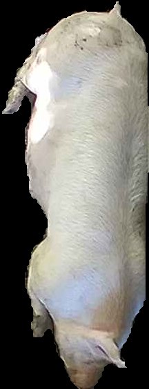 Crop