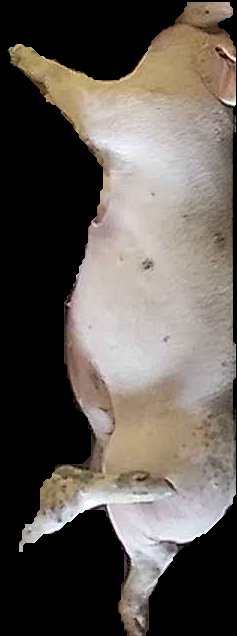 Crop