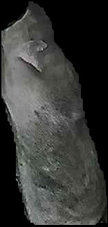 Crop