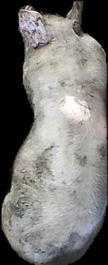 Crop