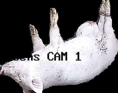 Crop