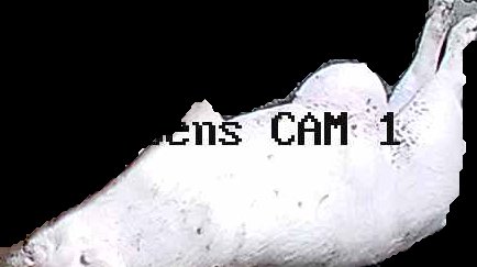 Crop