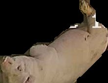 Crop
