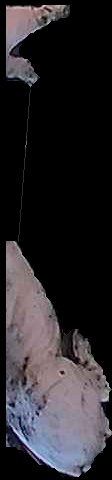 Crop