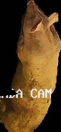 Crop