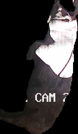 Crop