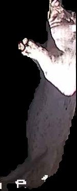 Crop