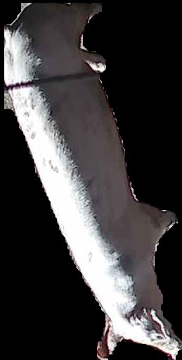 Crop