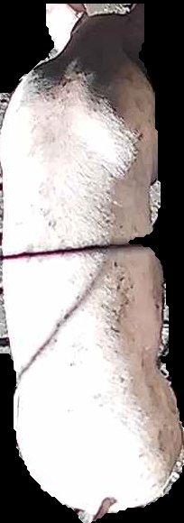Crop