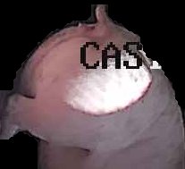 Crop