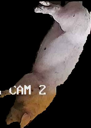 Crop