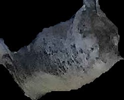 Crop