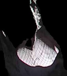 Crop