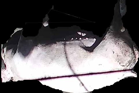 Crop
