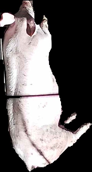 Crop