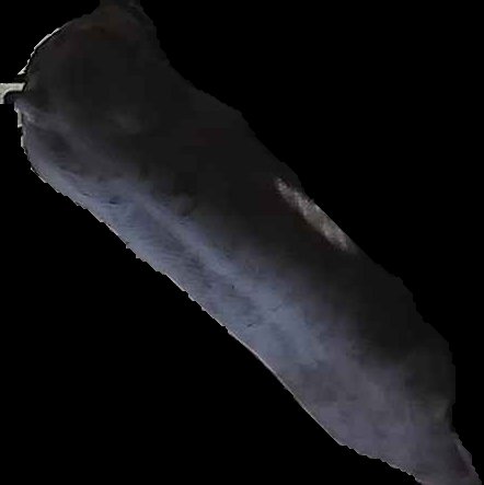 Crop