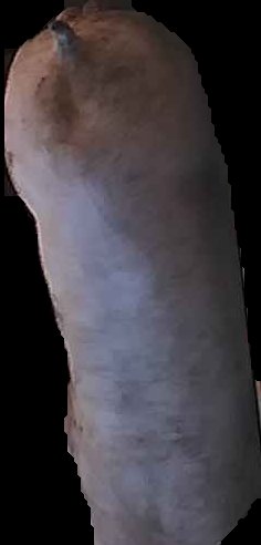 Crop